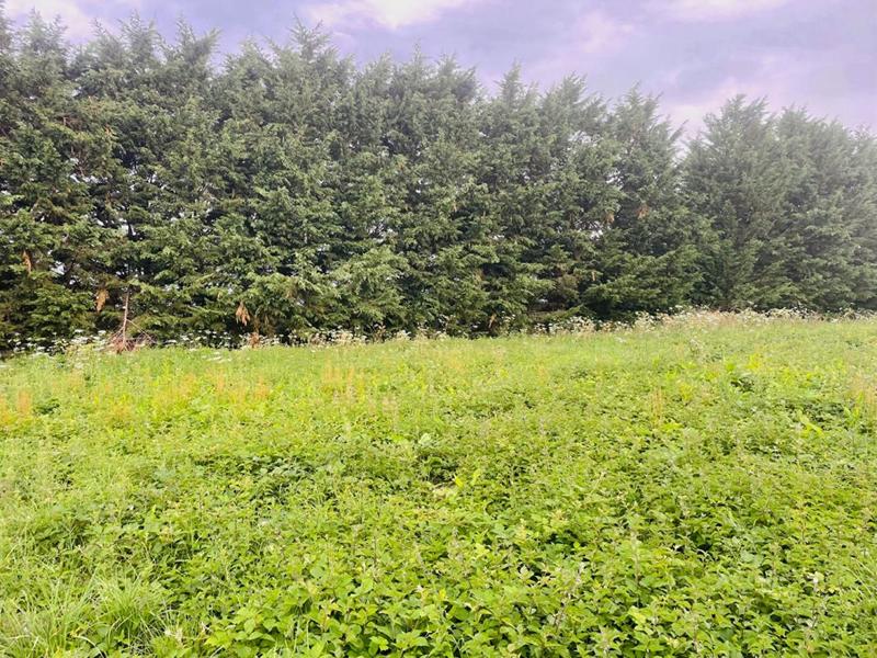 Terrain constructible - 2 213 m²