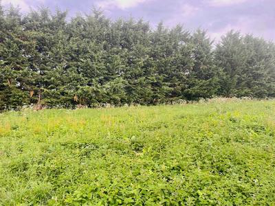 Terrain constructible - 2 213 m²