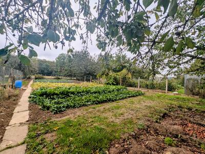 Maison - 70 m² - 5 pièces