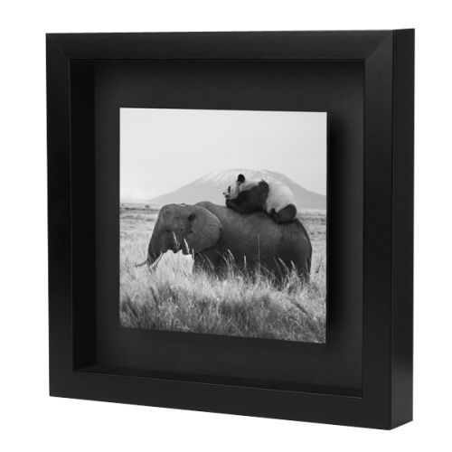 Galerie Photo-Originale