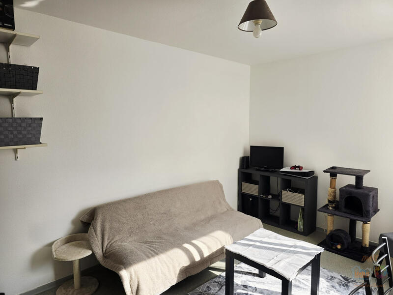Appartement - 20 m² - 1 pièce