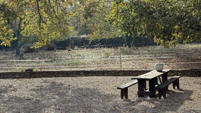 Maison de domaine équestre - 180 m² - 7 pièces