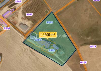 Corps de ferme - 115 m² - 4 pièces