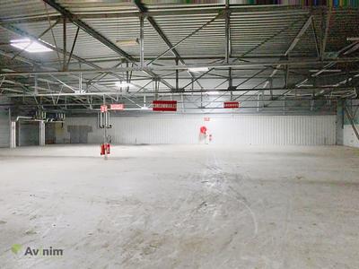 Local d'activités - 1 007 m²