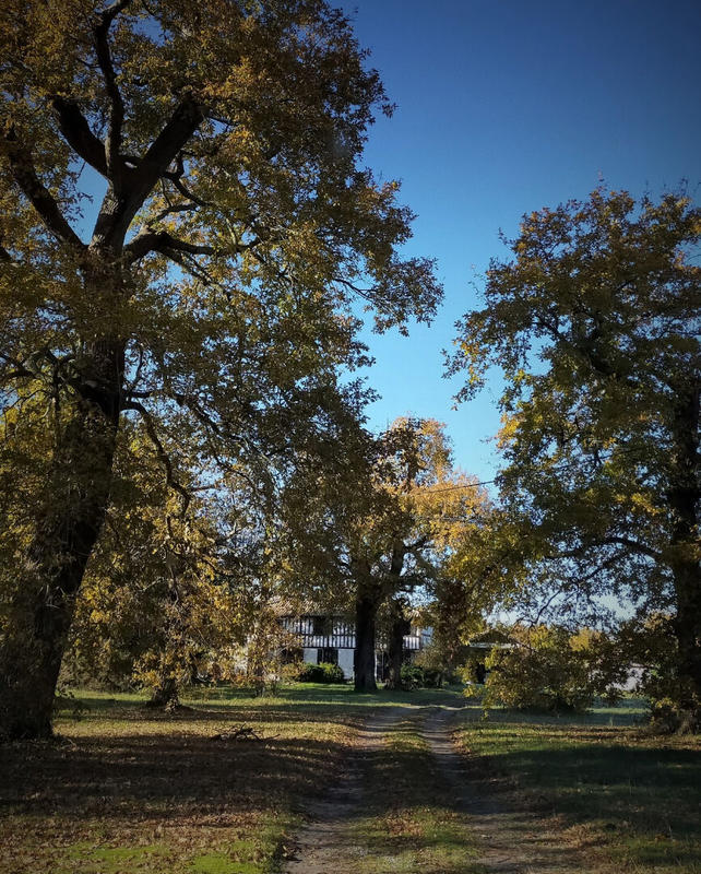 Maison - 220 m² - 8 pièces