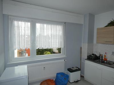 Appartement - 45 m² - 1 pièce
