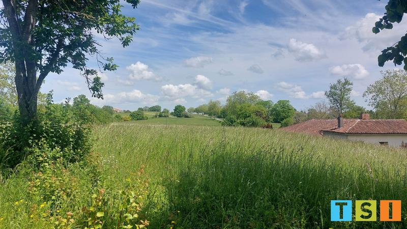 Terrain constructible - 5 900 m²