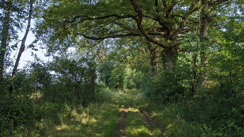 Terrain - 45 170 m²