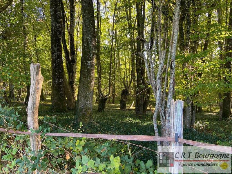 Maison - 240 m² - 8 pièces