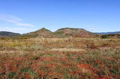 Terrain agricole - 13 807 m²