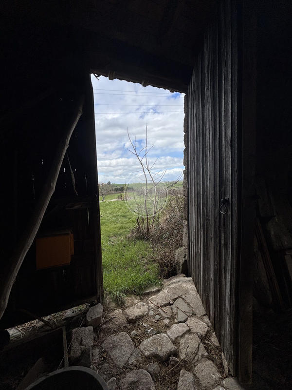 Maison ancienne - 150 m² - 7 pièces