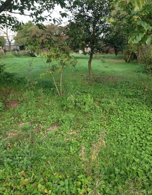 Terrain constructible - 427 m²