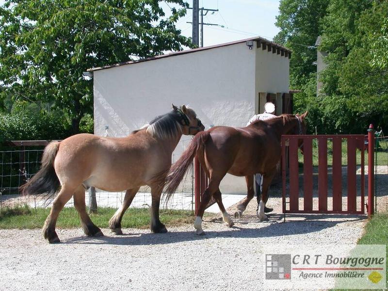 Maison - 240 m² - 8 pièces