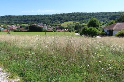 Terrain constructible - 982 m²
