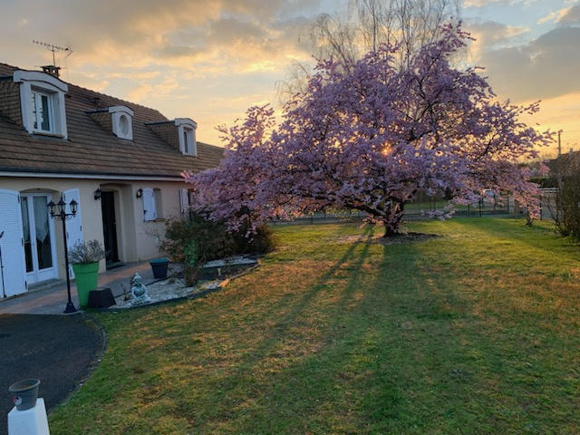 Maison - 187 m² - 6 pièces