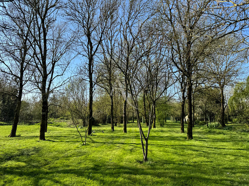 Maison - 188 m² - 6 pièces