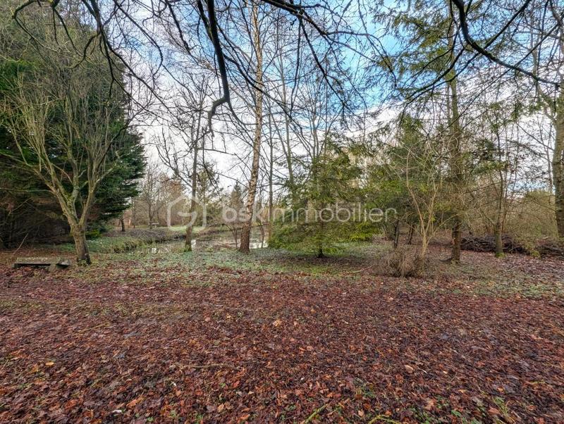 Terrain de loisirs - 21 230 m²