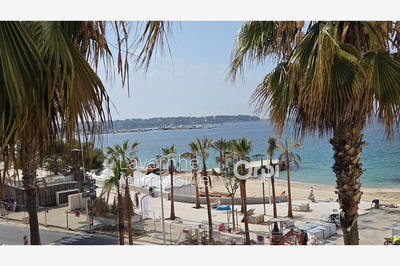 Appartement - 81 m² - 3 pièces