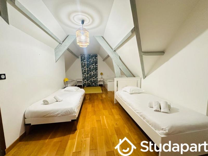 Chambre - 50 m² - 1 pièce