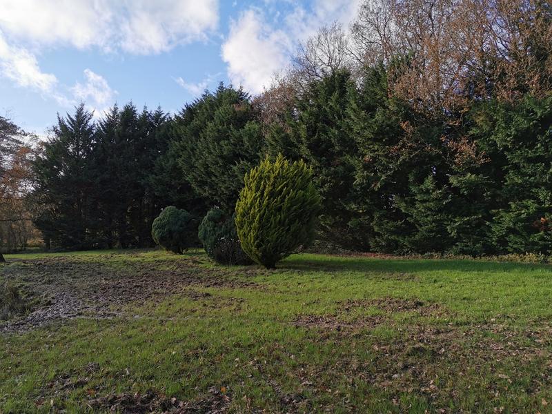 Terrain de loisirs - 11 400 m²