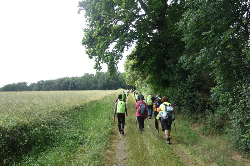 Randonnée pédestre à Gièvres