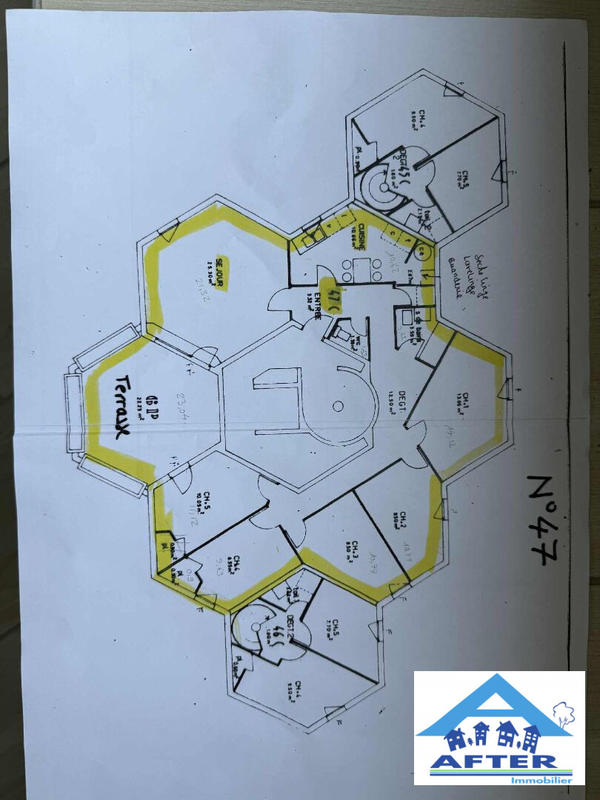 Appartement - 115 m² - 5 pièces