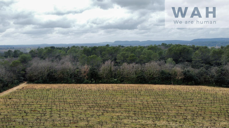 Terrain agricole - 117 200 m²