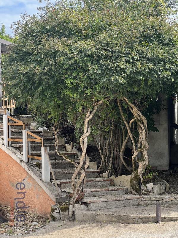 Maison - 168 m² - 6 pièces