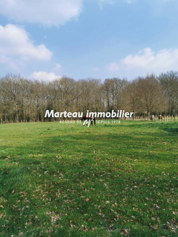 Maison - 126 m² - 5 pièces