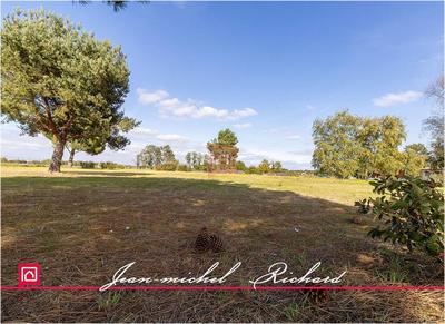 Terrain constructible - 5 550 m²