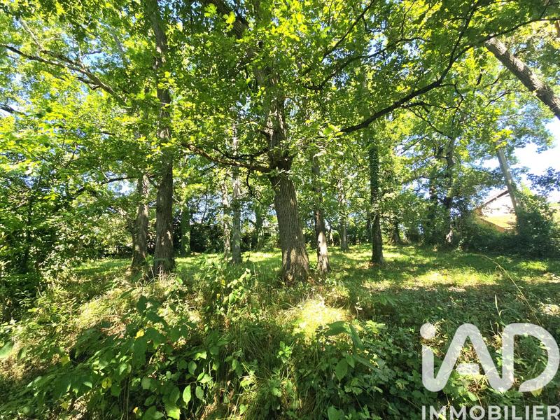 Maison - 90 m² - 1 pièce