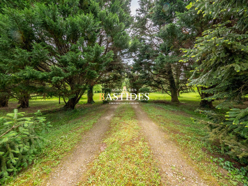 Maison ancienne - 316 m² - 9 pièces