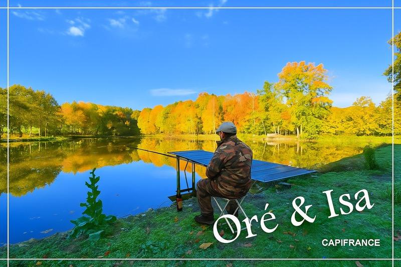 Terrain - 49 655 m²