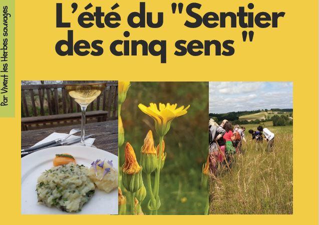 Le sentier des 5 sens au Domaine les Hauts de Riquets balade gourmande