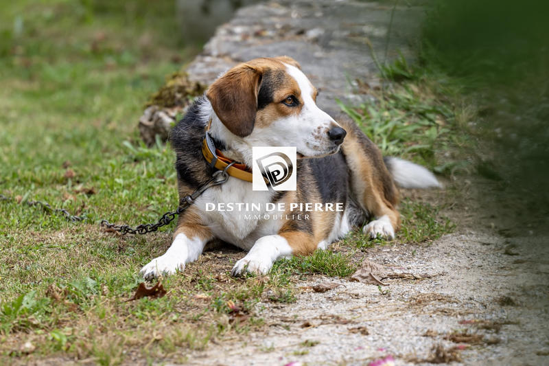 Maison - 134 m² - 4 pièces