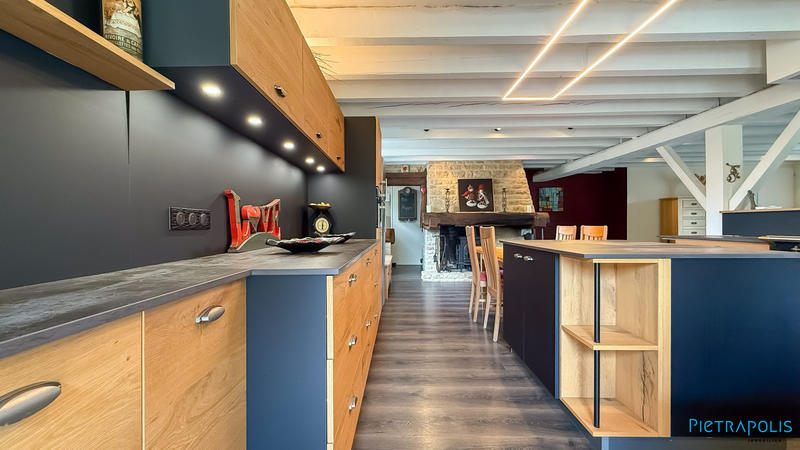 Maison ancienne - 270 m² - 9 pièces