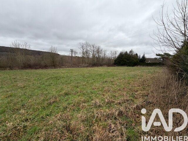 Terrain - 11 700 m²