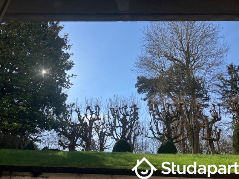 Appartement - 17 m² - 1 pièce