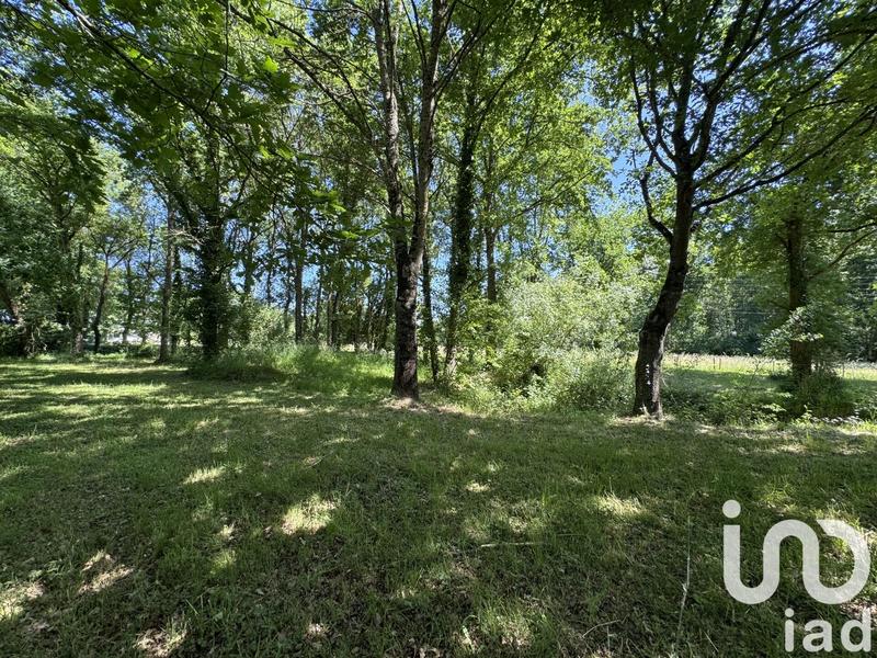 Maison - 203 m² - 9 pièces