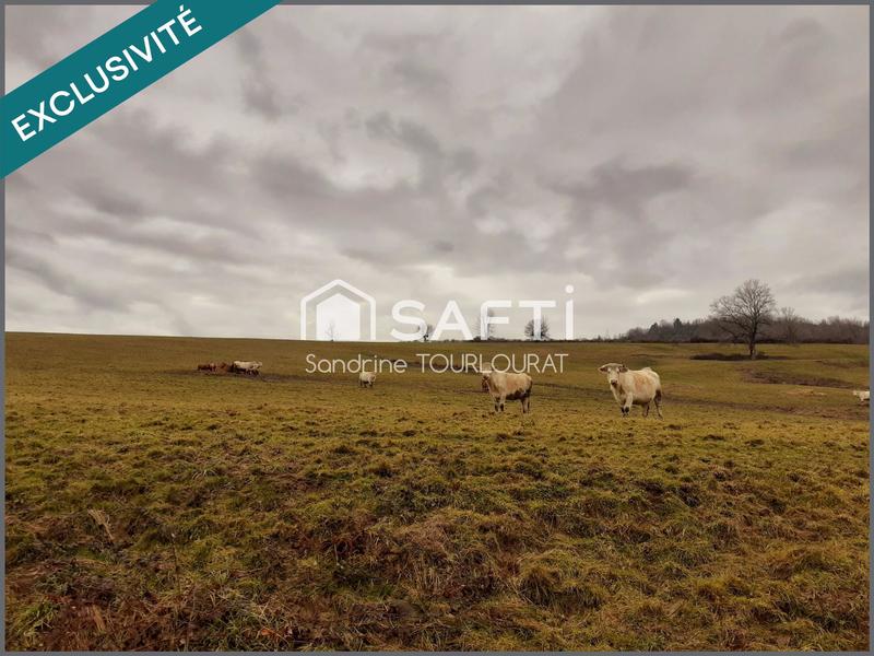 Terrain agricole - 75 404 m²