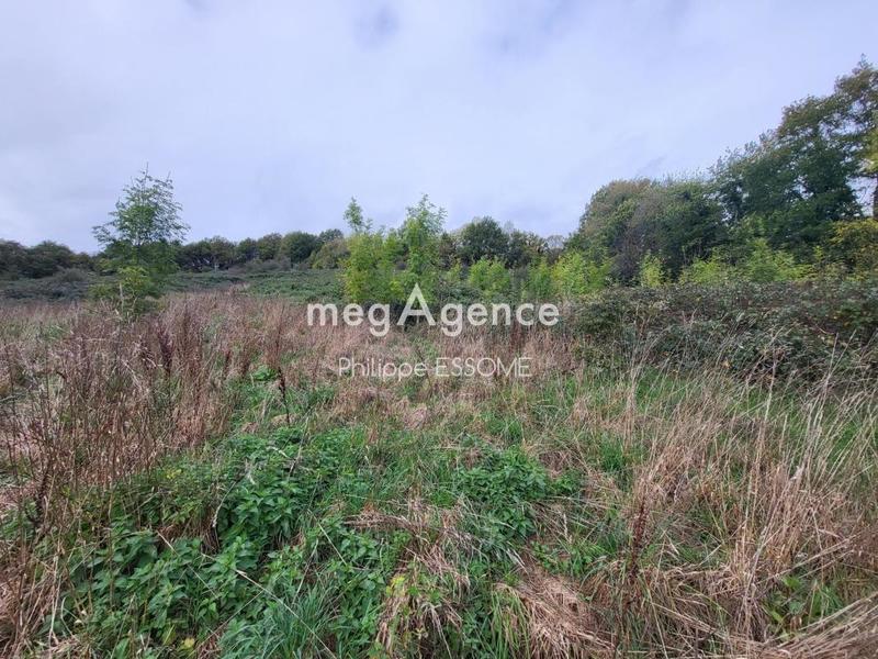 Terrain agricole - 24 638 m²