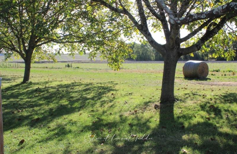 Propriété - 213 m² - 8 pièces