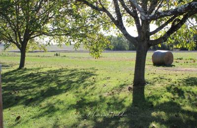 Propriété - 213 m² - 8 pièces