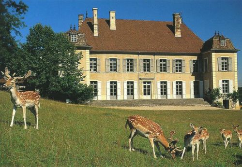 Château et Parc Animalier de Moidière