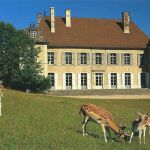 Château et Parc Animalier de Moidière