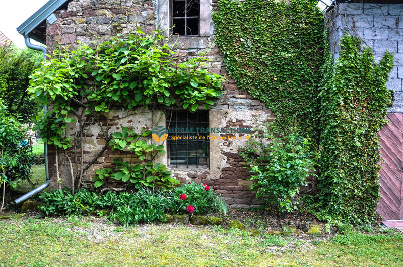 Maison ancienne - 271 m² - 10 pièces