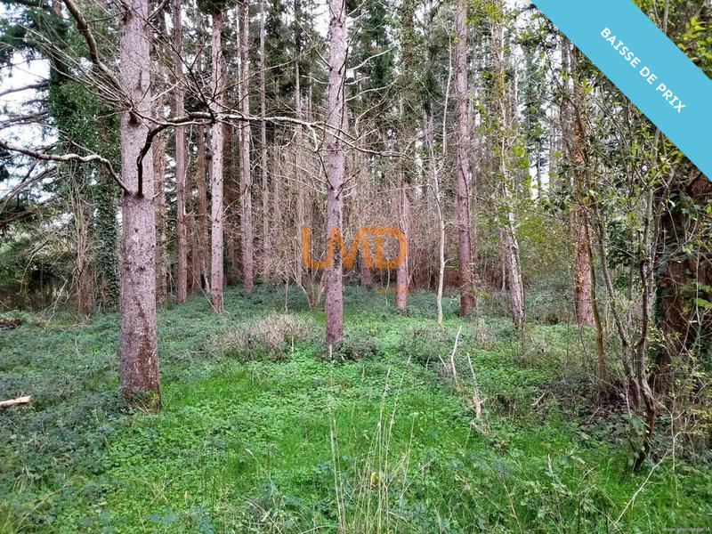 Maison de campagne - 120 m² - 4 pièces