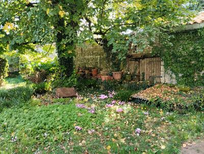 Maison ancienne - 308 m² - 13 pièces