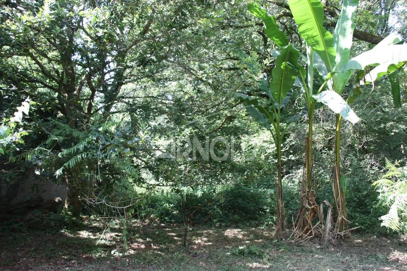 Moulin - 250 m² - 5 pièces