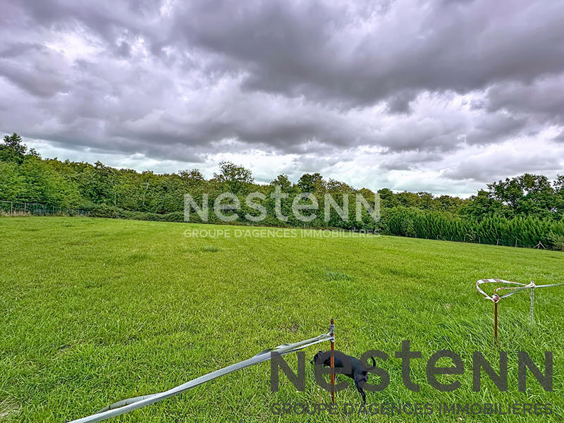 Maison - 166 m² - 3 pièces